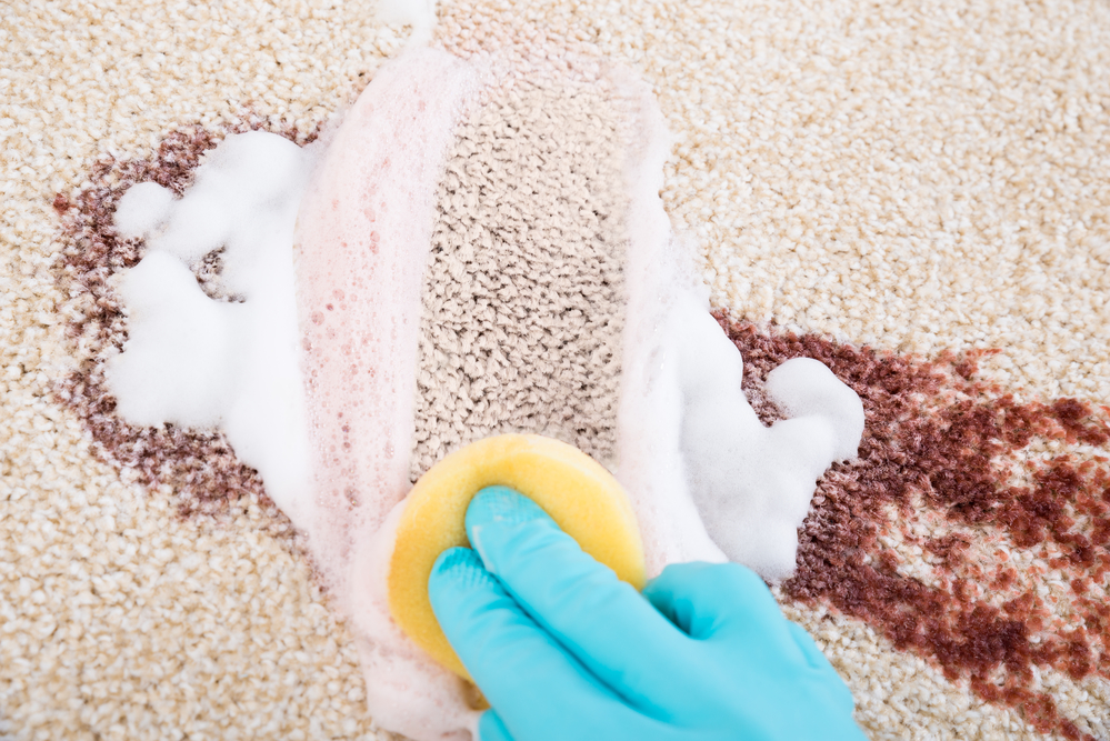 Professional Cleaning Supplies in Florida | Extending the Life of Carpet