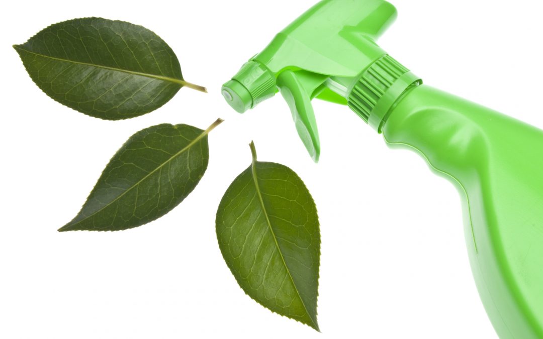 Cleaning Products Supplier in Florida | 3 Misconceptions About Eco Friendly Cleaners
