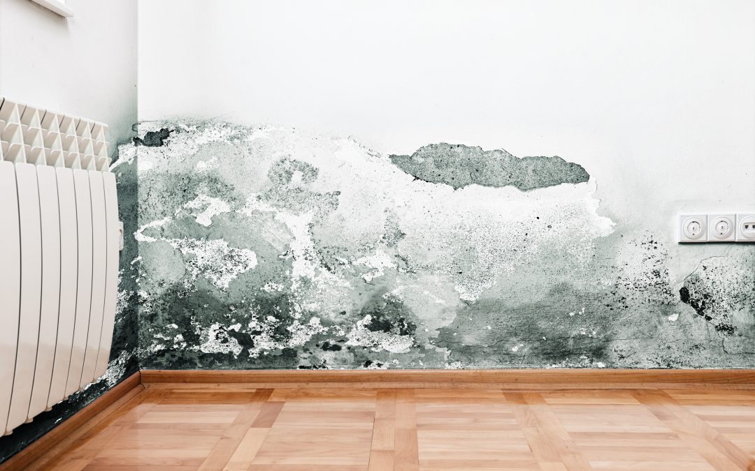 where is the best water damage equipment florida?